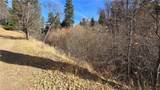 0 Big Tree Drive - Photo 4