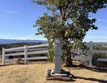 48565 Forest Springs Road - Photo 23