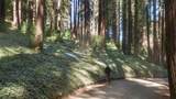 446 Old La Honda Road - Photo 1