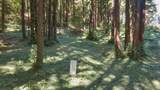 446 Old La Honda Road - Photo 12