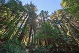 446 Old La Honda Road - Photo 3