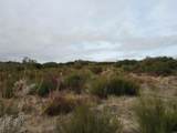 18 .15 ac Buckman Springs Road - Photo 2