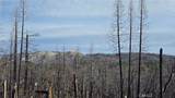 7 Horseshoe Trail - Photo 6