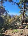 900 Lo Lane - Photo 4