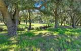 0 Ortega Highway - Photo 17