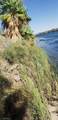 7845 Rio Vista Drive - Photo 4