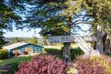 32550 Navarro Ridge Road - Photo 17
