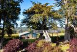 32550 Navarro Ridge Road - Photo 23