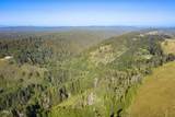 32550 Navarro Ridge Road - Photo 36