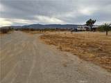 3185 Olivera Road - Photo 13