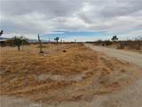 3185 Olivera Road - Photo 18