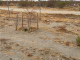 3185 Olivera Road - Photo 6