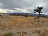 3185 Olivera Road - Photo 9
