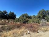 0 Hobby Horse - Photo 18