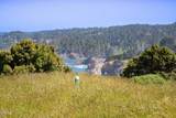 50500 Buckhorn Cove Road - Photo 25