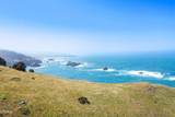 50500 Buckhorn Cove Road - Photo 9