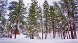 42599 Ruben Way - Photo 4