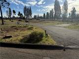 13726 Endicot Circle - Photo 4