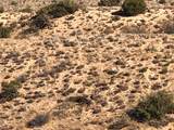 26637 Santa Rosa Road - Photo 4