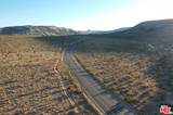 0 Old Woman Springs Road - Photo 5