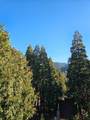 23771 Zuger Drive - Photo 6