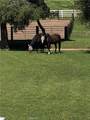 0 Calle Grande - Photo 9