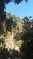 0 0 - Photo 1