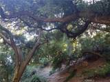 0 0 - Photo 2