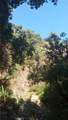 0 0 - Photo 3