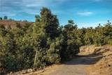 0 Gopher Canyon Road - Photo 13