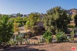 34136 Mulholland Highway - Photo 44