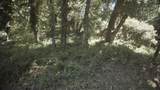 0 Burns - Photo 5