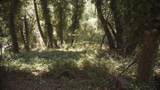 0 Burns - Photo 8