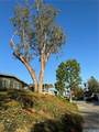 15181 Van Buren Boulevard - Photo 13