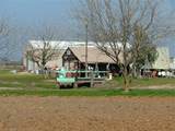 4588 Mccall - Photo 10