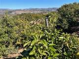 45811 Camaron Road - Photo 18