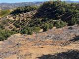 45811 Camaron Road - Photo 7