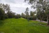 1702 Dwight Street - Photo 8
