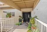 3242 San Amadeo - Photo 8