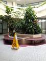 767 Hill Street - Photo 6