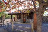 3113 Camino Del Rancho - Photo 15