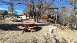 42530 Pegasus Way - Photo 48