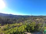 360 Wildberry Drive - Photo 11