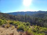 360 Wildberry Drive - Photo 12