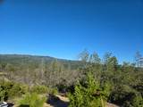 360 Wildberry Drive - Photo 36