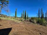 360 Wildberry Drive - Photo 8