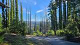 360 Wildberry Drive - Photo 9