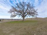 2450 Golden Hill Road - Photo 9