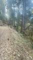 61 Lot - El Valle Road - Photo 9