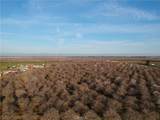 0 Highway 59 - Photo 20